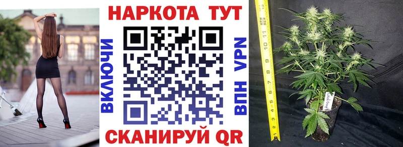 Где продают наркотики Старая Русса Кокаин ГАШ МЕГА Канабис APVP