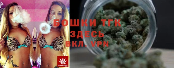 гидра Приозерск