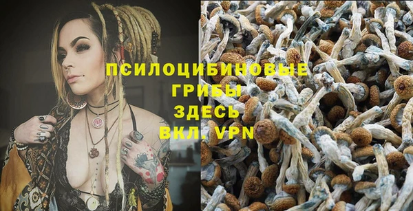 ешки Пролетарск