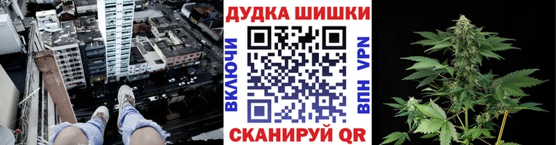 наркотики  Старая Русса  Канабис гибрид 